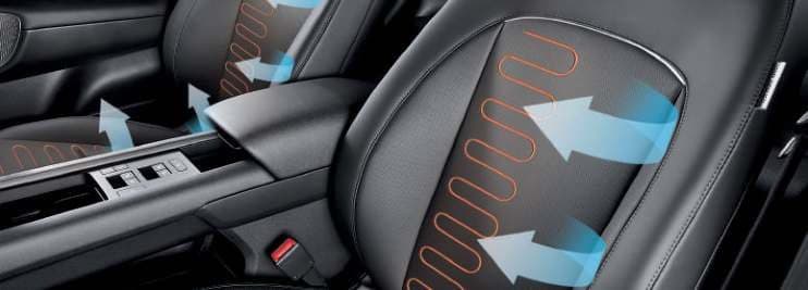 Heated & ventilated seats
